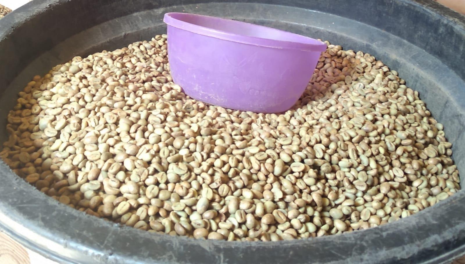 Coffee Beans