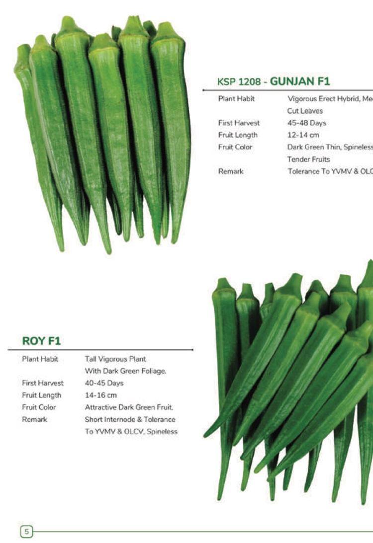 Okra