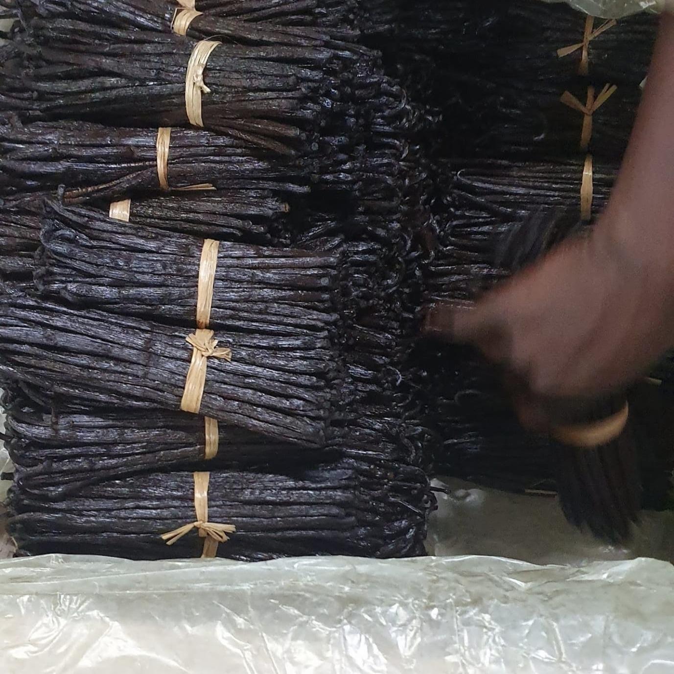 Gourmet Grade A Vanilla beans