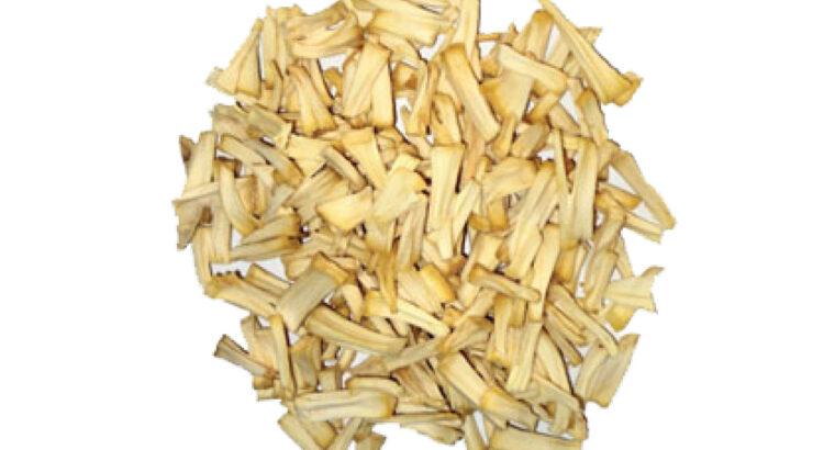 Dehydrated Ceylon breadfruit
