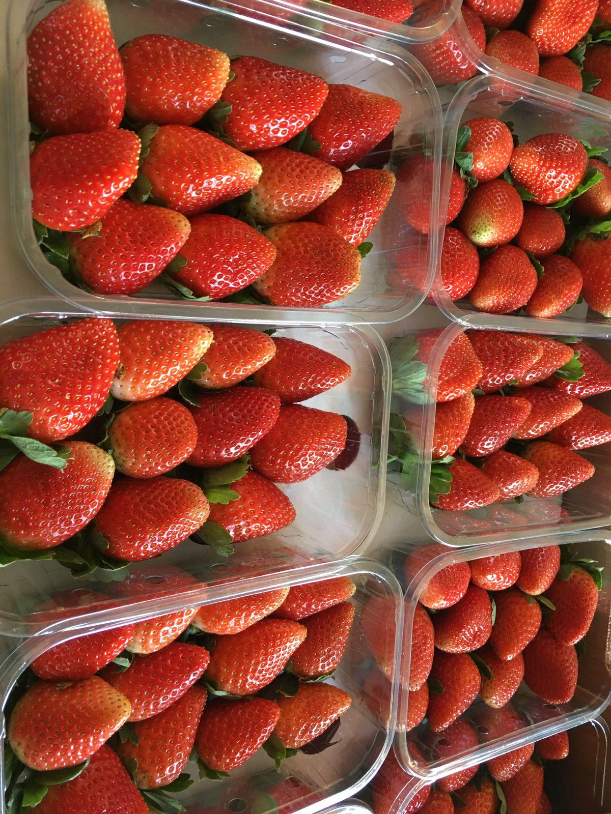 Strawberries