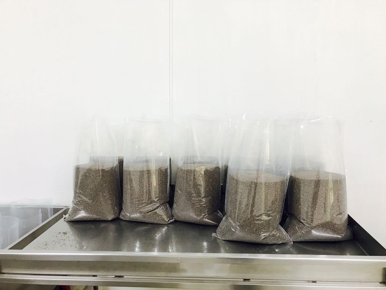 Chia seeds