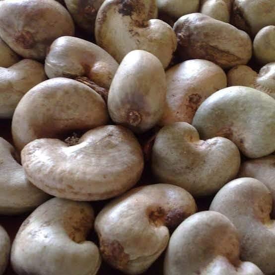 Raw cashew nuts