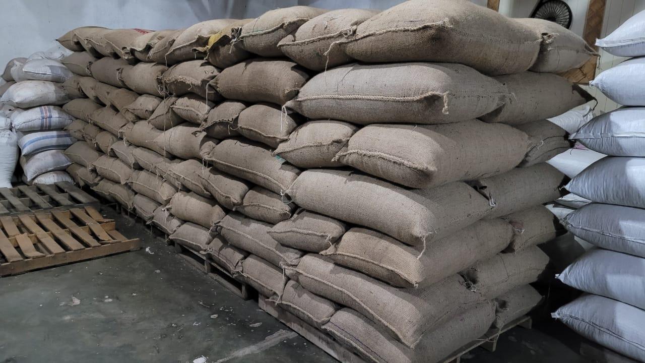 Arabica Coffee Bean