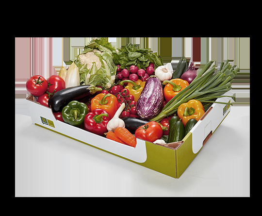Fresh Tomatoes