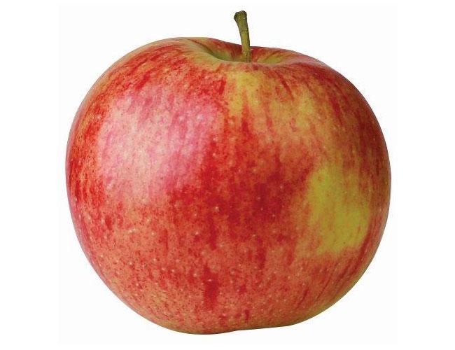 Jonagored