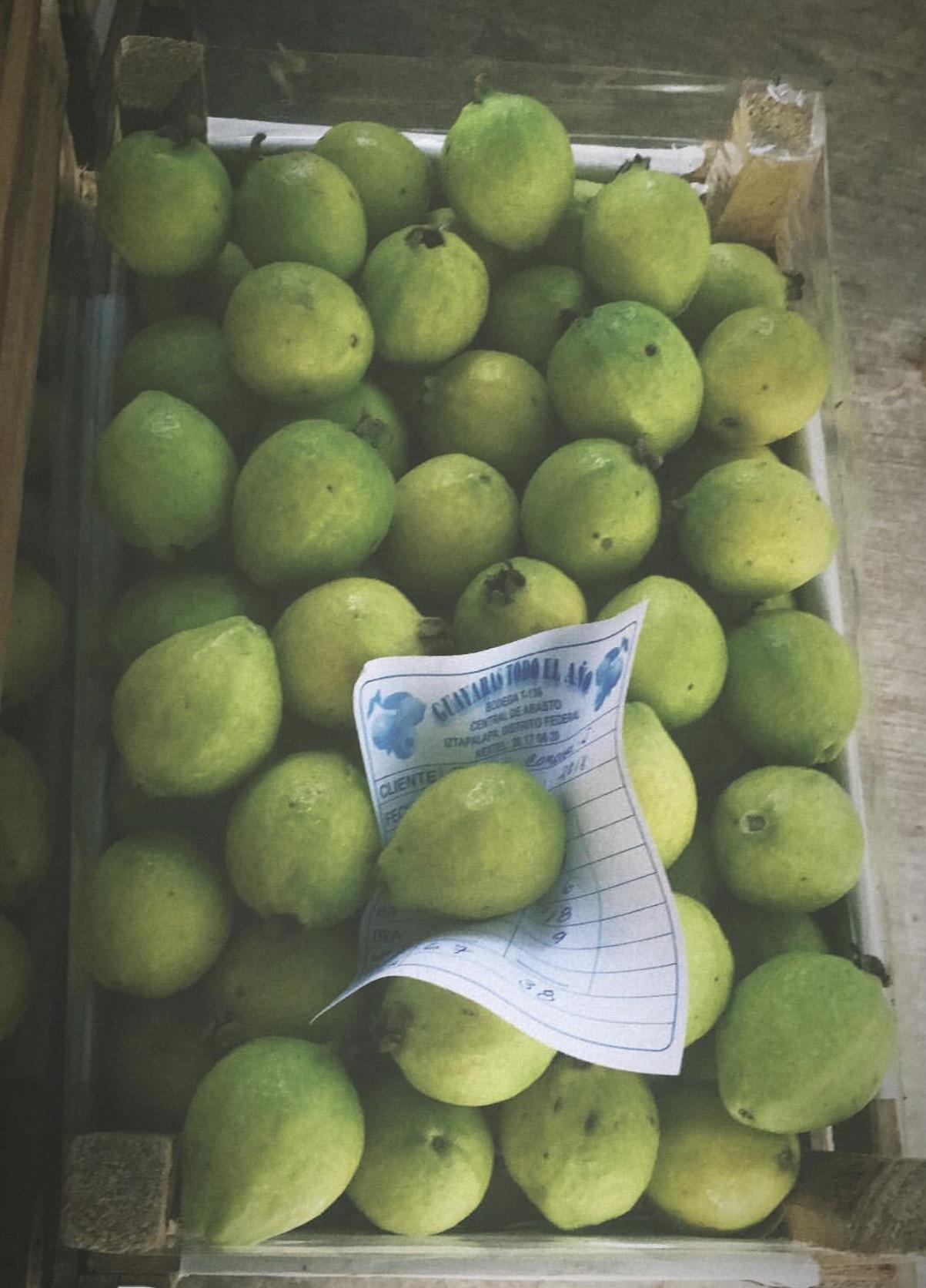 GUAVA