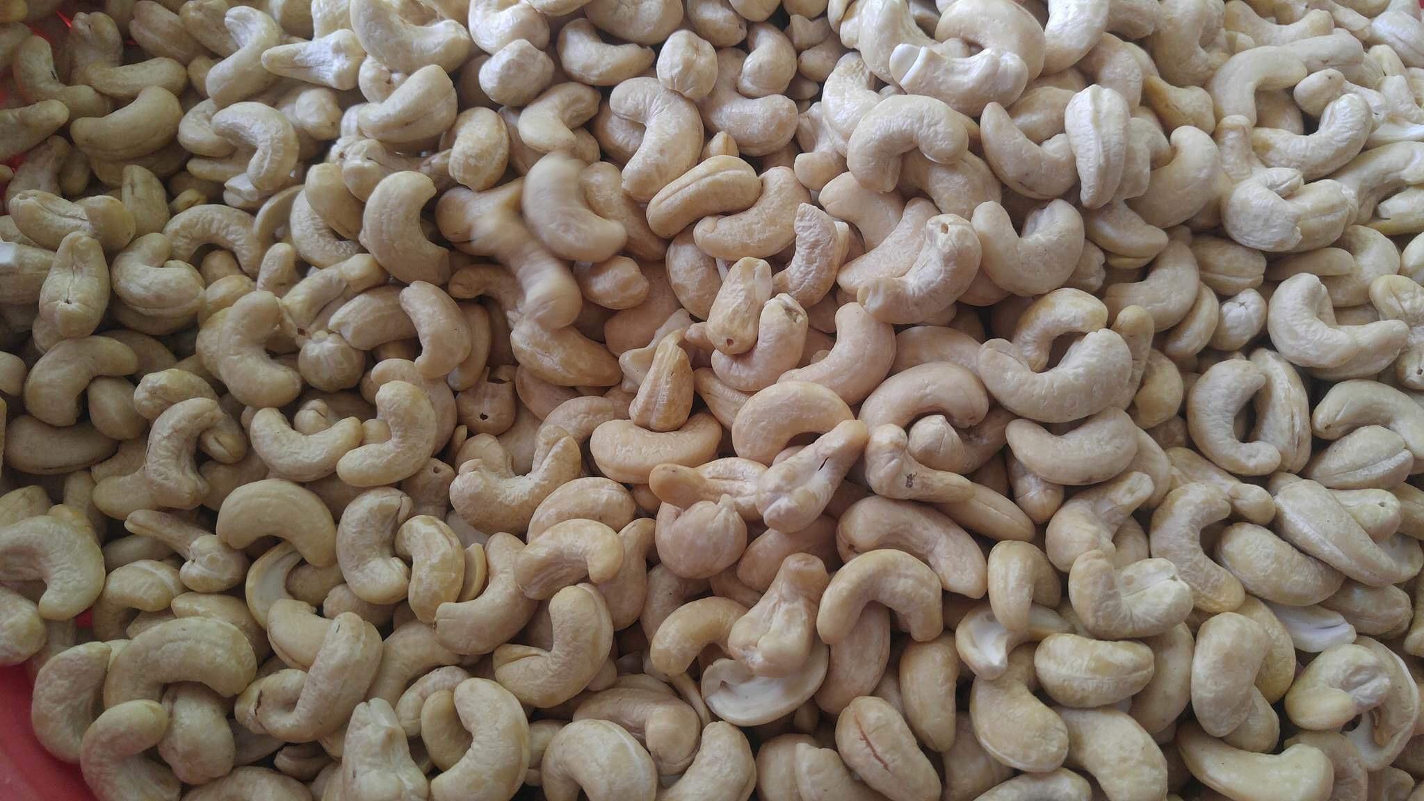 CASHEW WW320