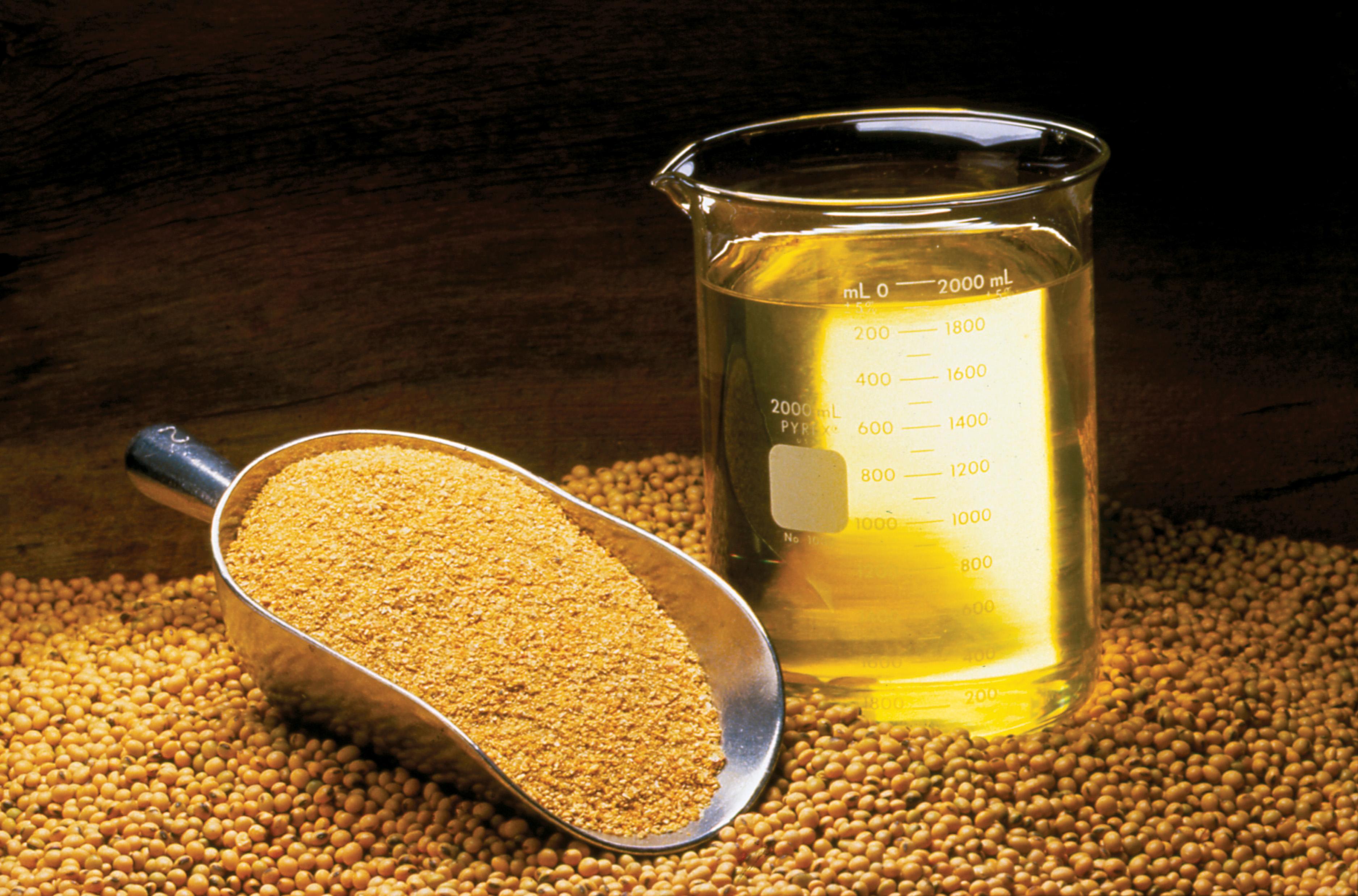 REFINED SUNFLOWER OILS