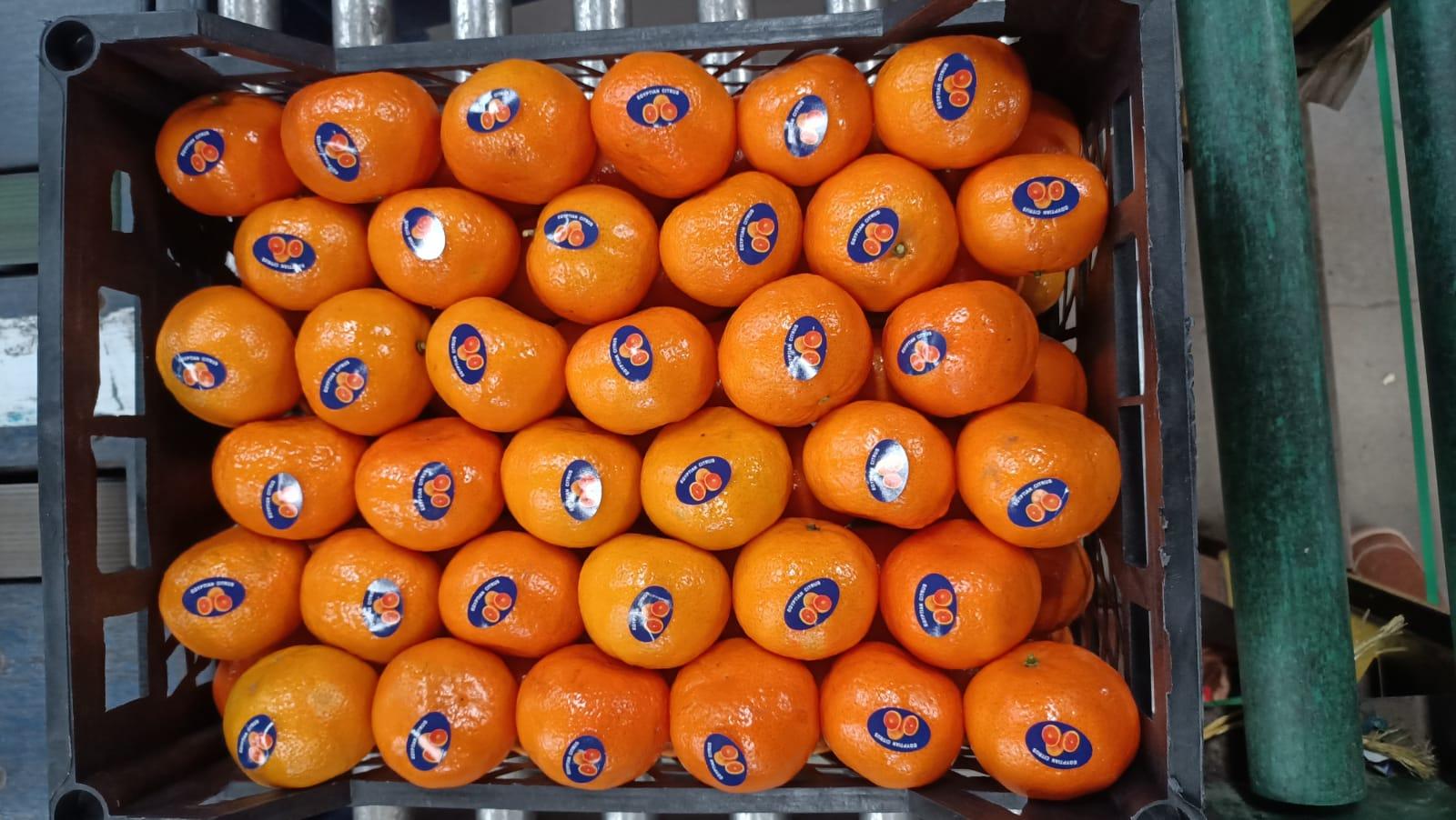 Mandarin
