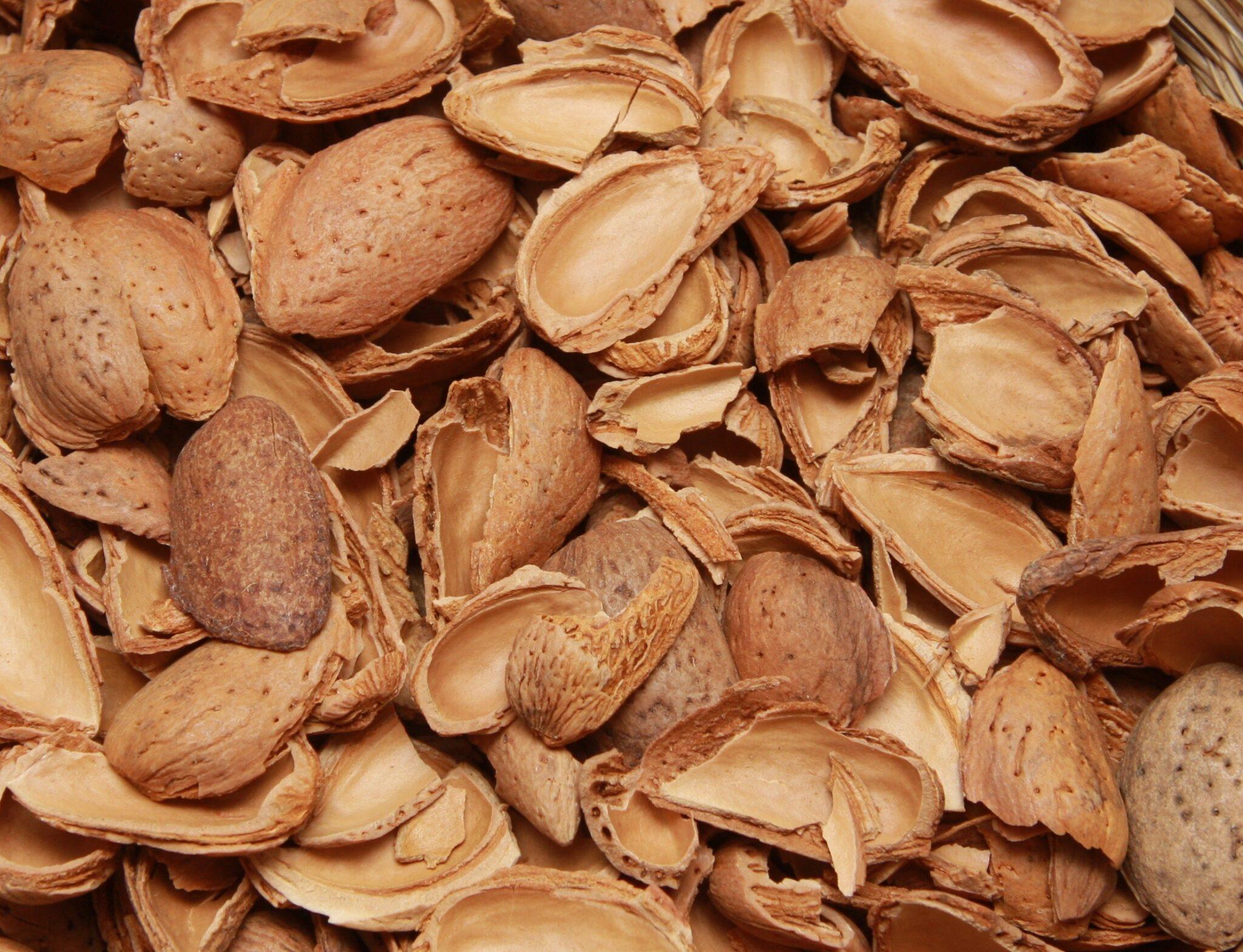 Almond Shells