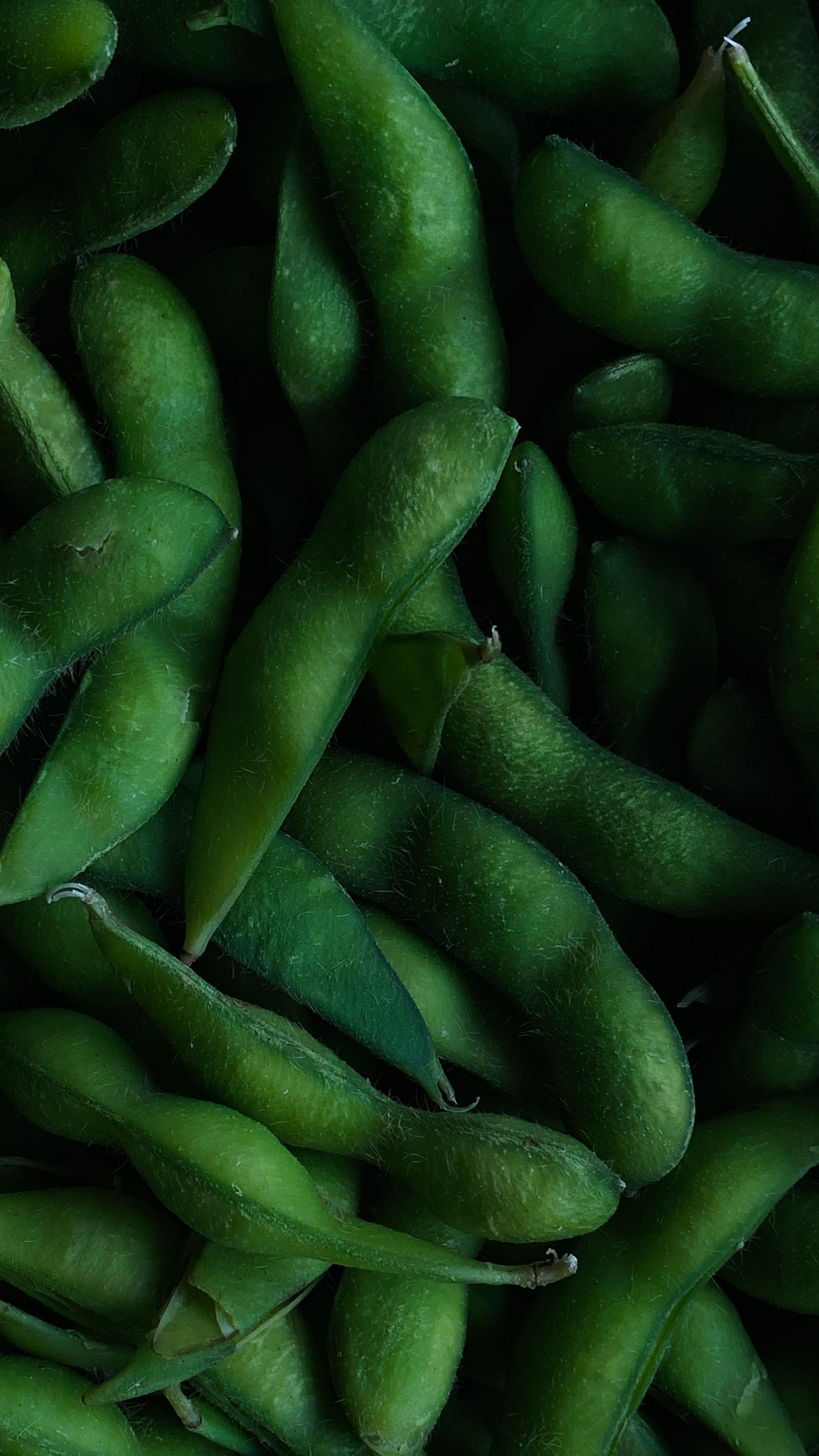 Edamame