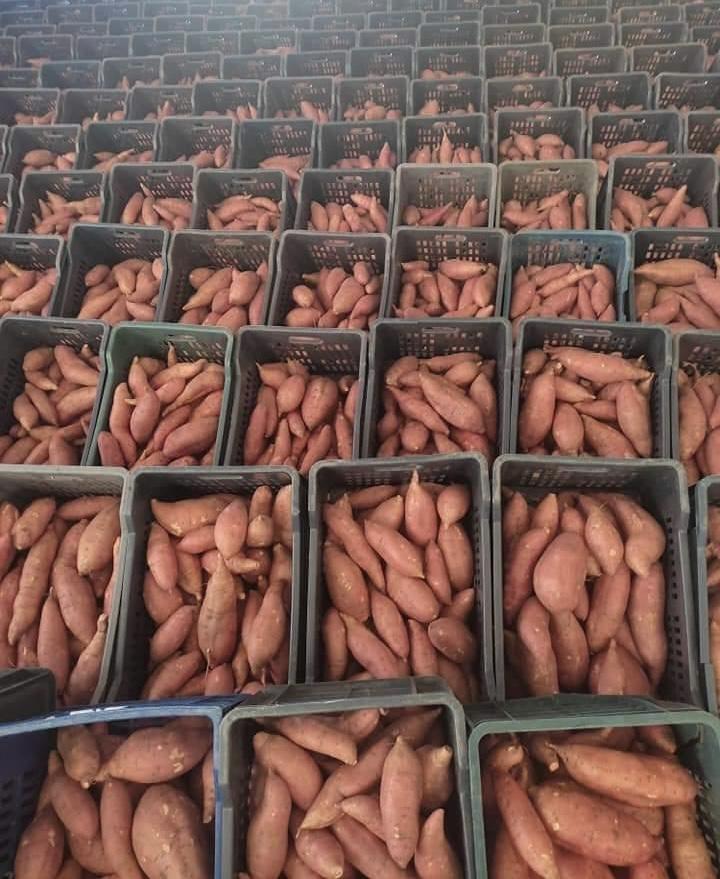Sweet potatoes