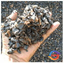 Palm Kernell Shell