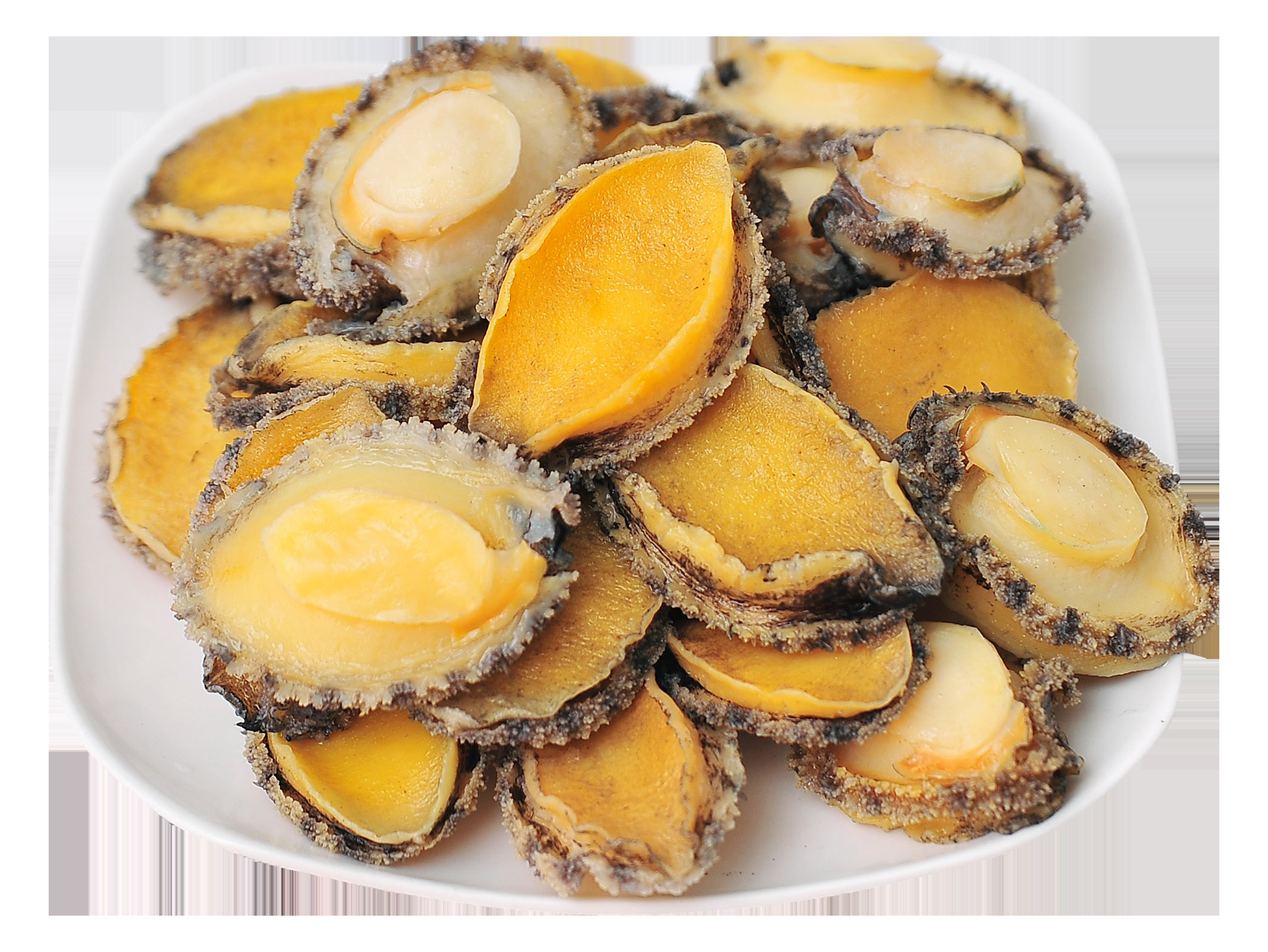 Frozen Abalone (Live/Boiled)