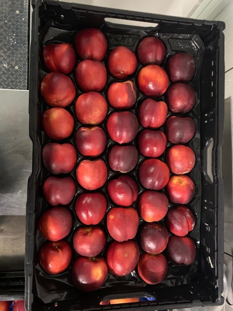 Nectarine