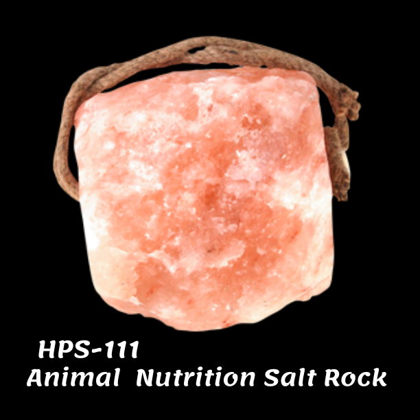 Animal Nutrition / Licking block