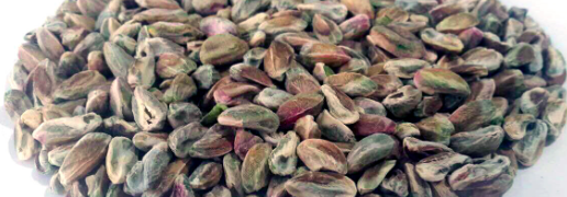 Iranian Pistachio