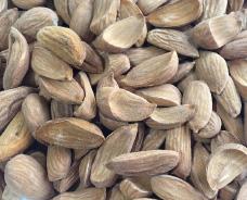 Premium Iranian Almond