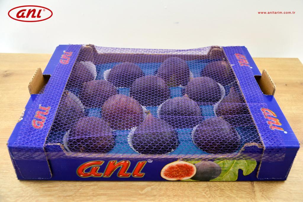 Black fig