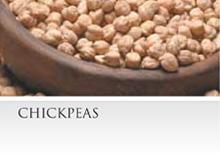 Chickpea
