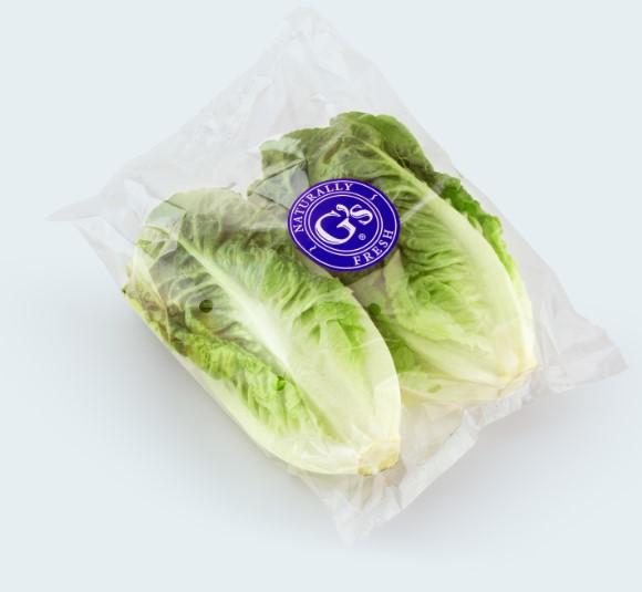 Fresh Lettuce