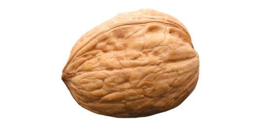 Walnut, shelled