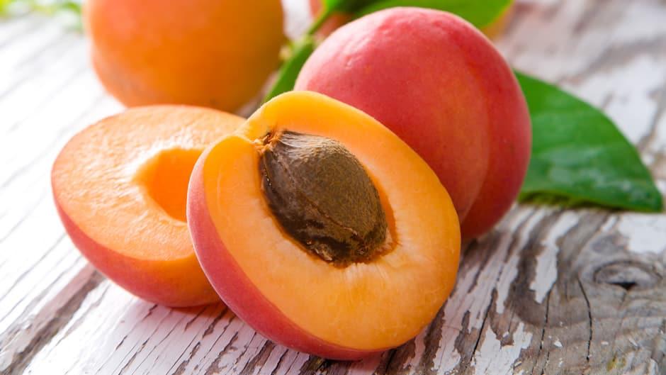 Apricot