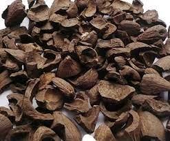 Kernel shell