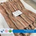 FROZEN OCTOPUS BQF