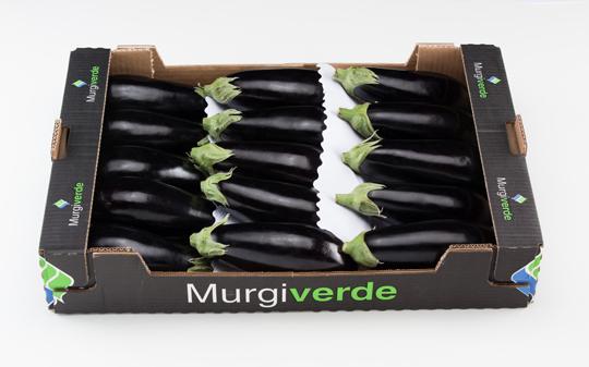 Organic Aubergine
