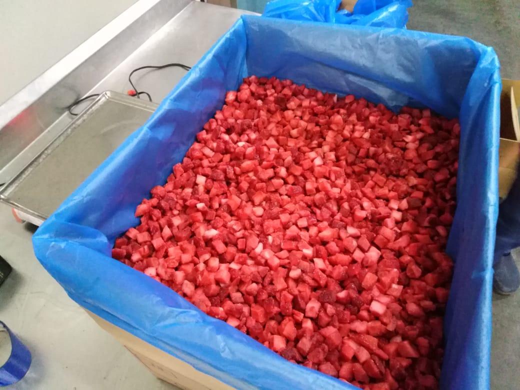 IQF STRAWBERRY WHOLE (GRADE A CALIBRATED 15-25 ; 25-35)
