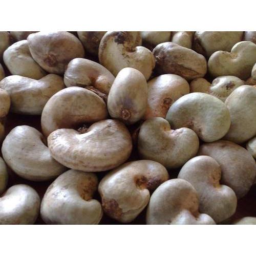 Cashew Nuts