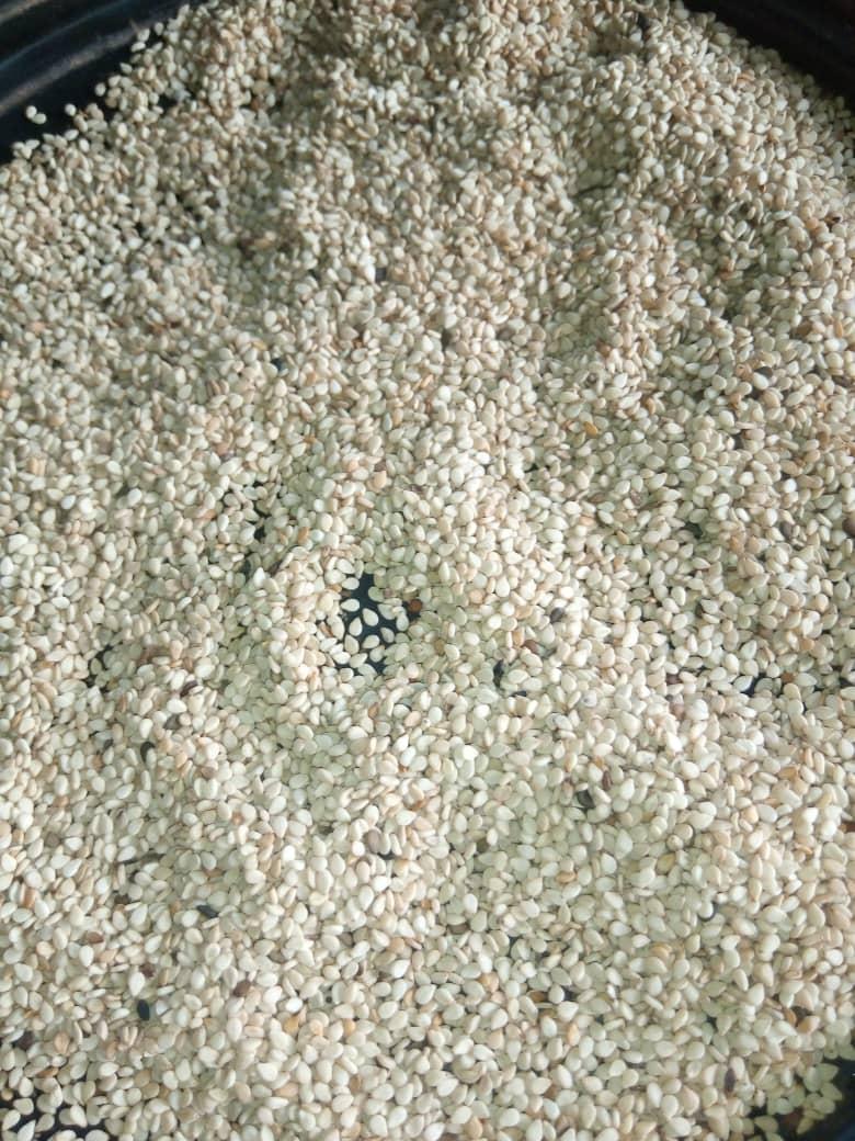 Sesame Seeds