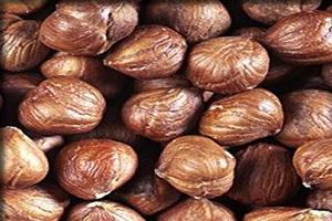 Hazelnut