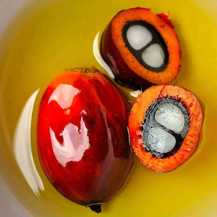 Palm oil