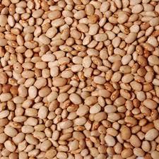 Brown Beans