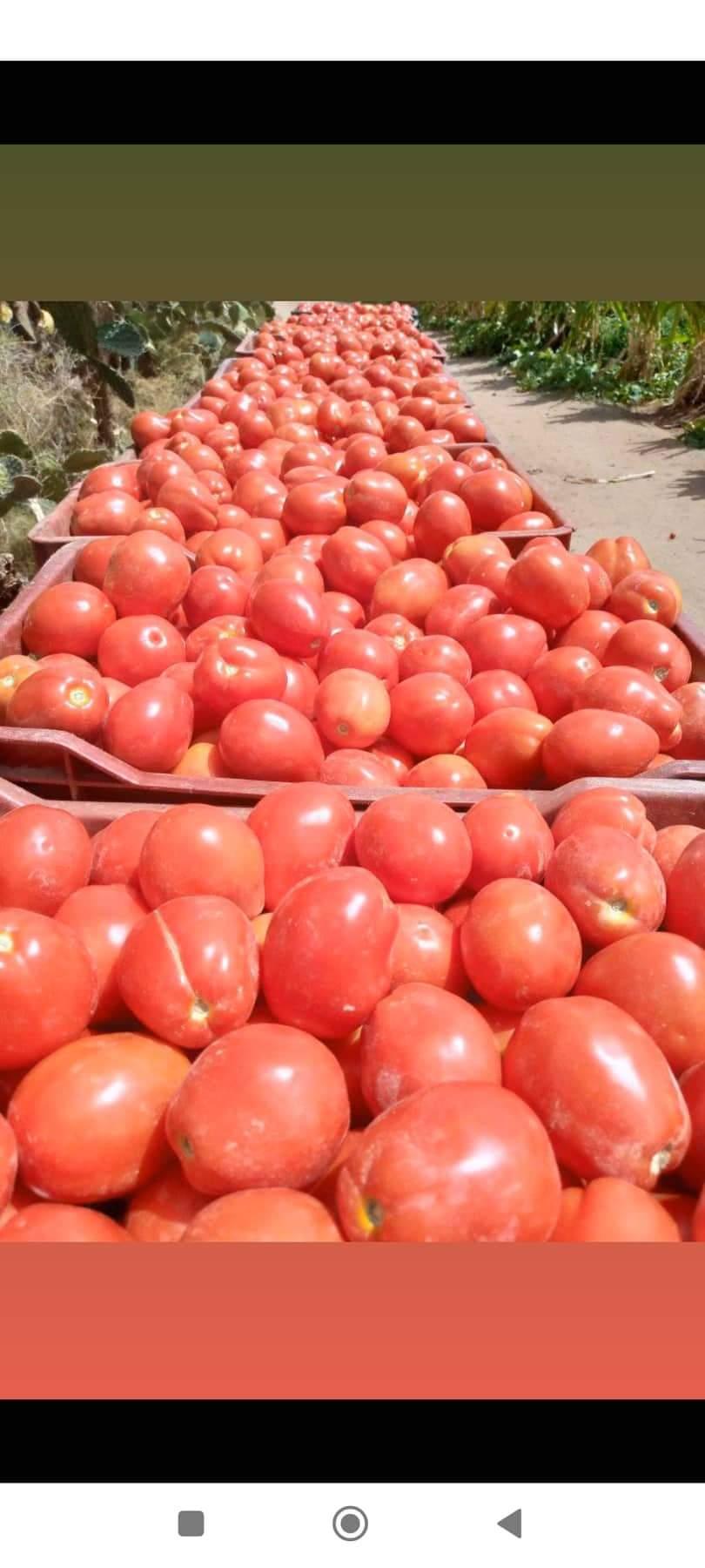 Fruit et légumes