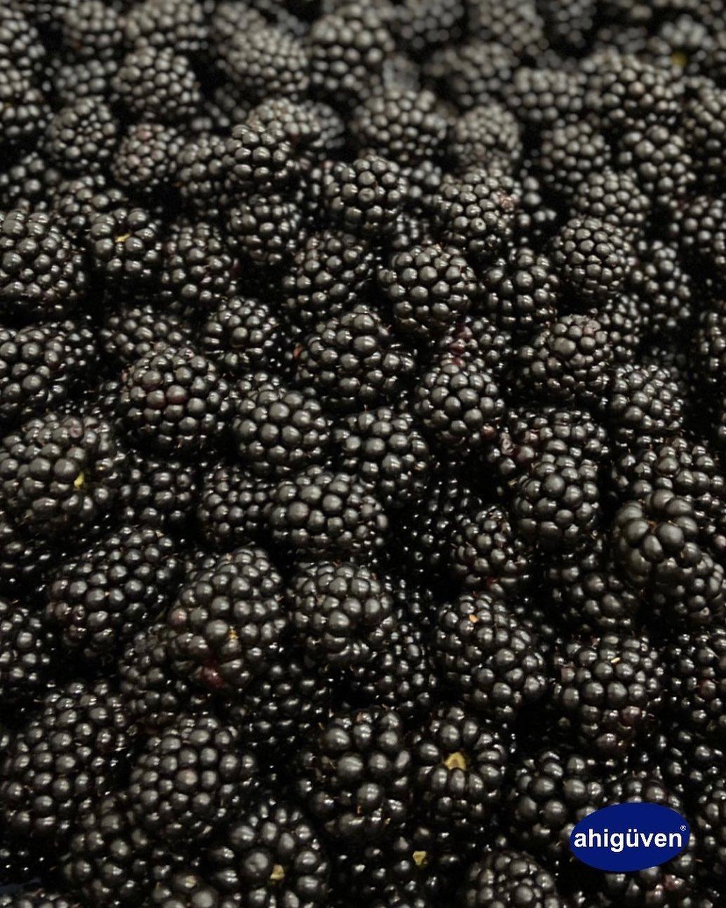 frozen blackberries