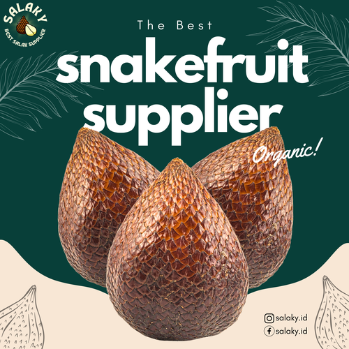 Fresh Salak, Snakefruit, Salacca, Zalacca