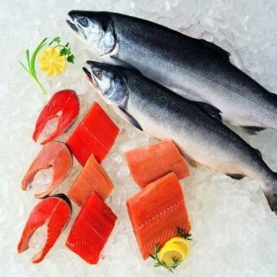 Salmon