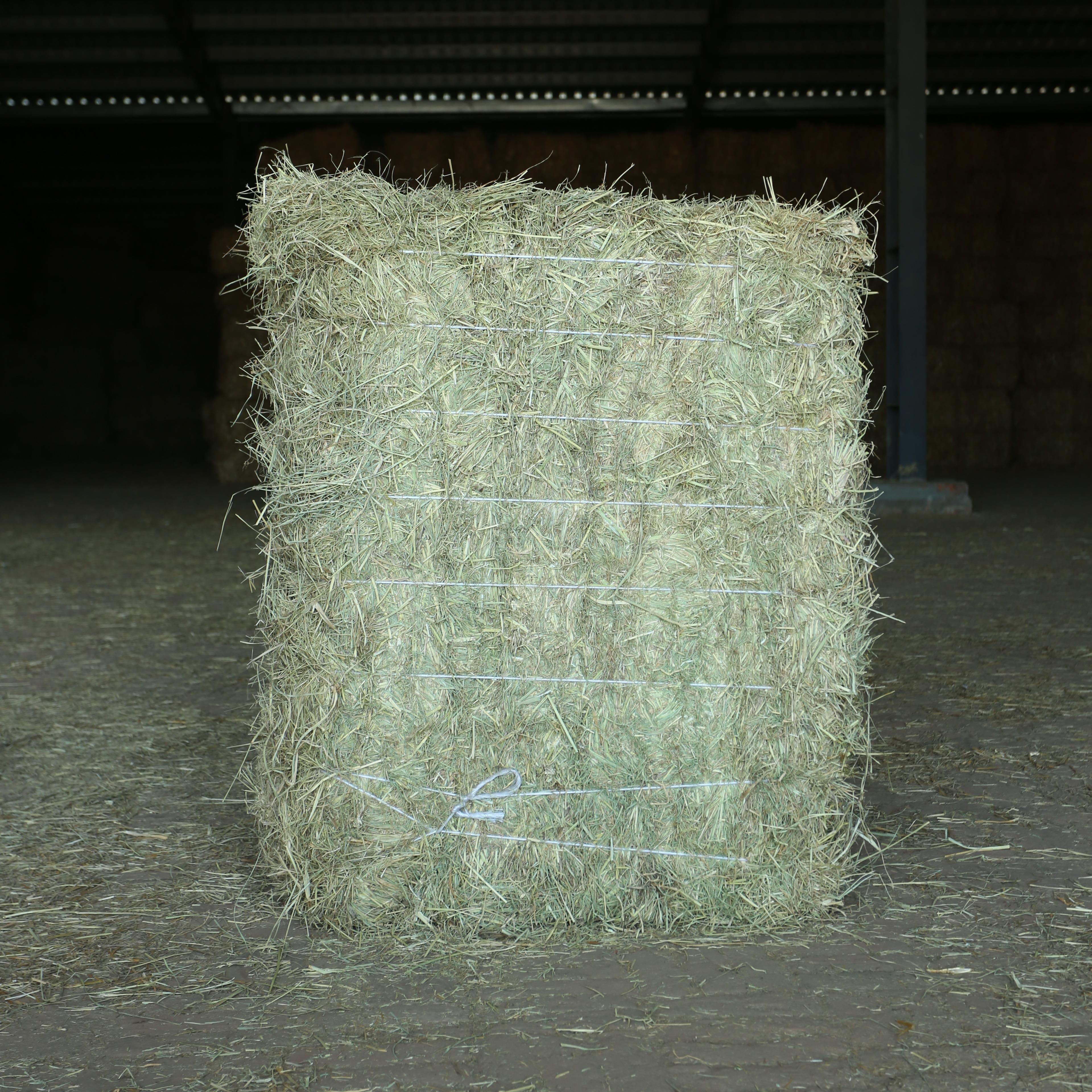 Rhodes Grass Hay For Animal