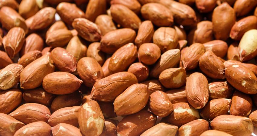 Sudanese Peanuts Also known as groundnuts or earth peanuts..