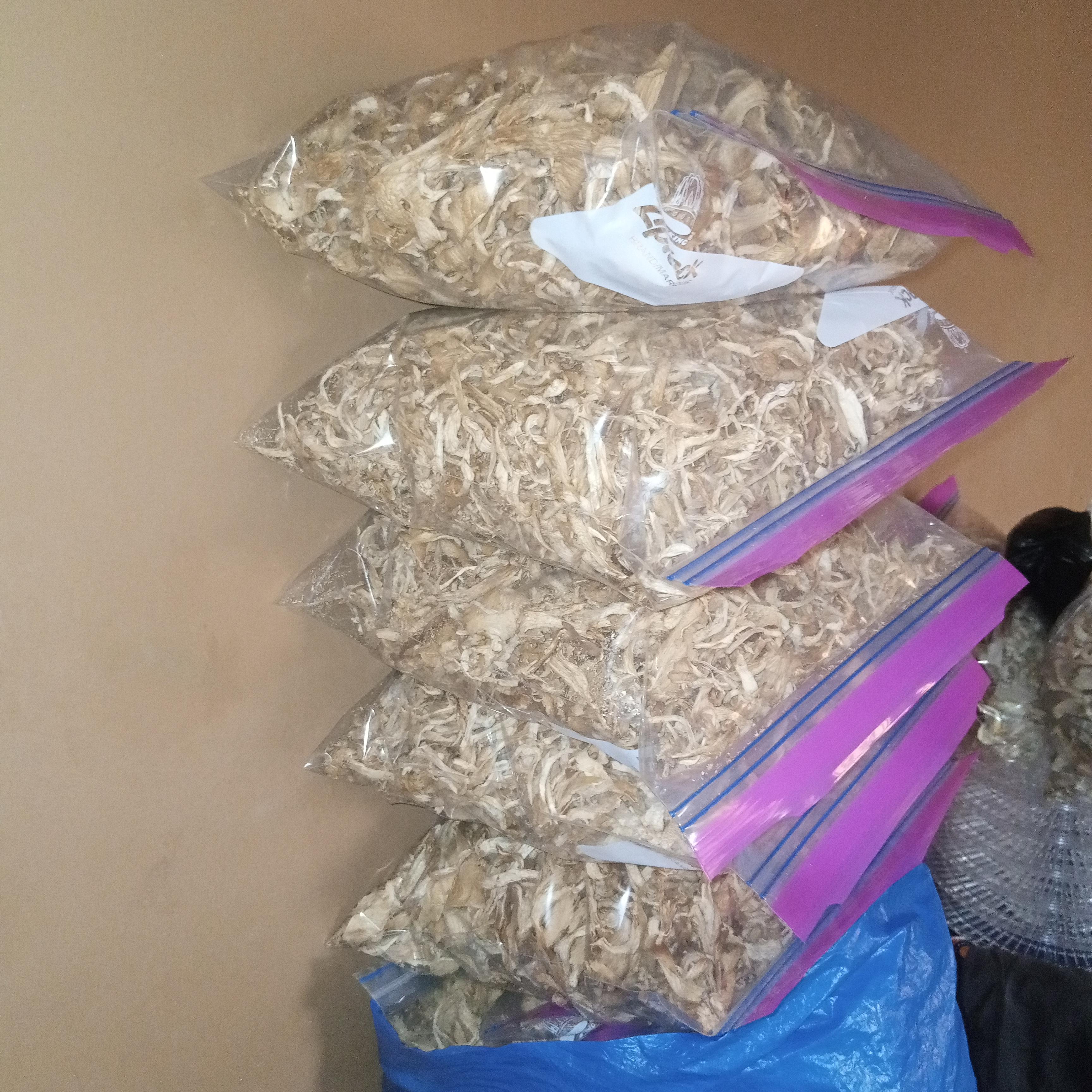 Fresh and Dry Oyster Mushroom