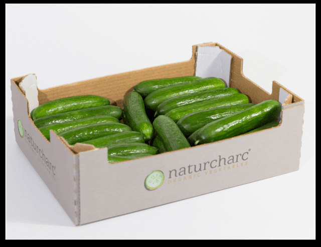 Fresh Cucumber