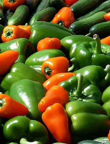 PAPRIKA