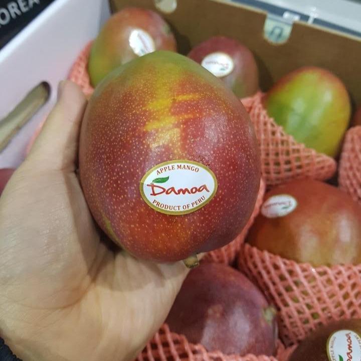 Peruvian Mango Kent