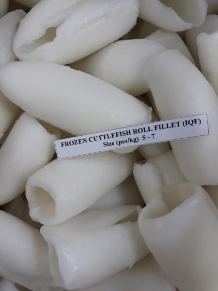 Frozen Cuttlefish Roll Fillet