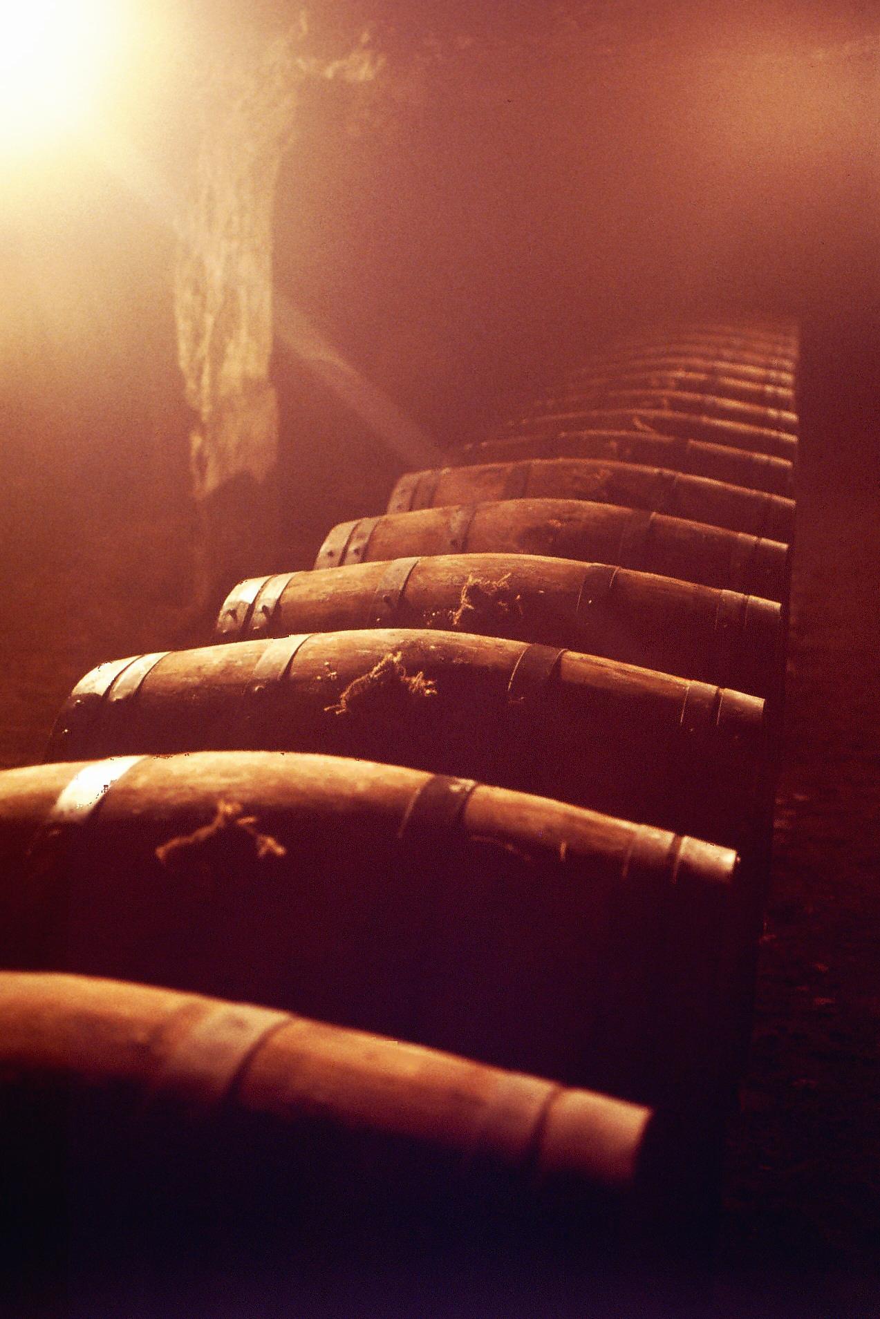 Chateau Moutin Graves Rouge AOC
