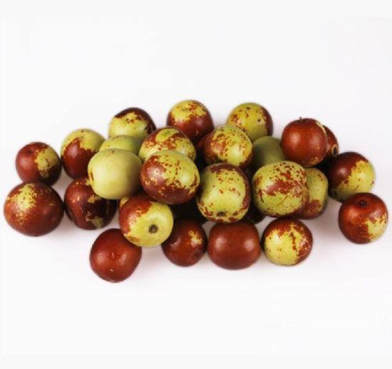 Winter Jujube (winterdate)